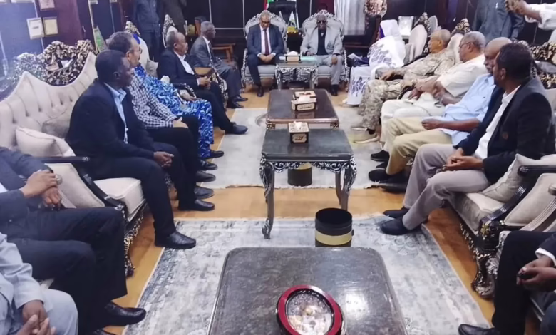 وزير الزراعة يعلن توفير الدعم الكامل للموسم الصيفي بالجزيرة وتوطين إنتاج تقاوي القطن بمشروع الرهد 1 1774524266630