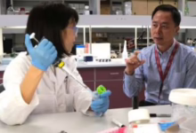 20260325112600260 176