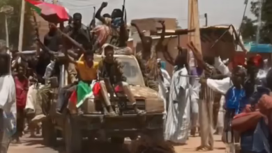 2323 1742995591.webp