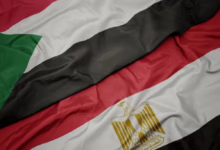 بدء تسجيل السودانيين الراغبين في العودة المجانية من مصر 42 3434 1 1140x684 1