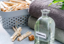 3a6b86ba 803b 4b33 9f1a 56e50a946dd5 16x9 1200x676