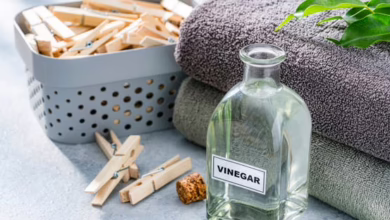 3a6b86ba 803b 4b33 9f1a 56e50a946dd5 16x9 1200x676