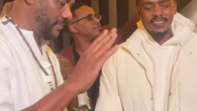 3c613bdb d11a 444f b547 9d383f3193f2