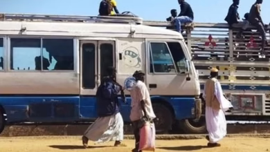 473338627 1039087704927201 1605518562283974757 n