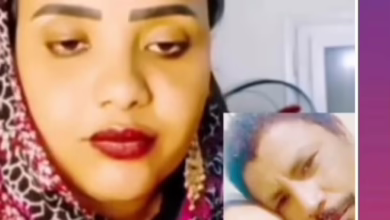 4b6c92d8 3058 481b 822f e380eb8ea206