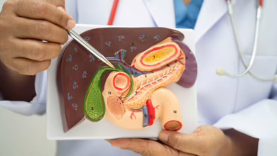 5d7d6794 4bdc 4adf a5a3 86c94bb9162a 16x9 1200x676 1