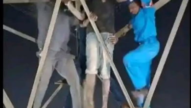 658154462 26492500703718408 5863761868507030151 n