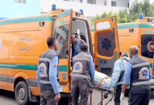 659201664 2491103687971030 7812525130308870744 n