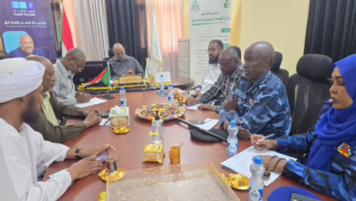 660355088 978934584488247 1781505070697079704 n 1140x855 1