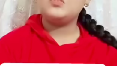 68d647b7 d6d0 4b4b a5d7 5995a3712566