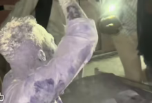 81e774af 5fde 4704 98e9 7ddbeec519d5