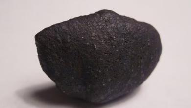 وكالة ناسا والصين تحذران من احتمال اصطدام نيزك بالقمر 2 978b71e6 c33b 4000 b2f9 9d4259c8ad0b 16x9 1200x676