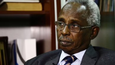 DYHUAP1MPF Osman Mirghani p 1140x758 1