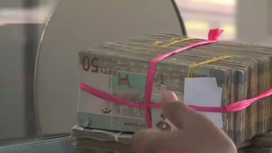 Screenshot 2024 11 26 164953 1140x616 1