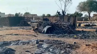 Screenshot 2026 03 12 110750 1140x577 1