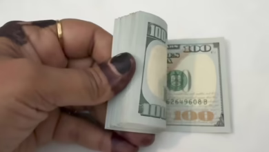 c0c81958 d94c 48cf 8d48 3e047de546fd