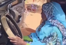 c22481e7 95e5 4d0f af0a 330bc958ed21