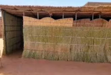 شاهد بالفيديو.. رمى عليهم عبوة ناسفة وهرب.. جنود بالدعم السريع يضبطون مرتزق من جنوب السودان في وضع مخل مع سيدة داخل "راكوبة" بمدينة الفولة 7 images 77