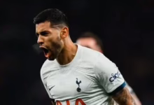 202312071043494349 1