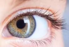 202510050417251725 1