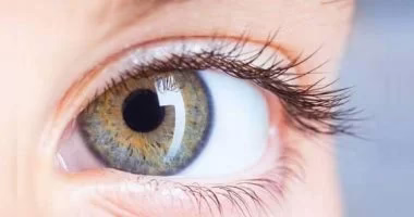 202510050417251725 1