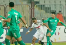 20260125113105315 73 1