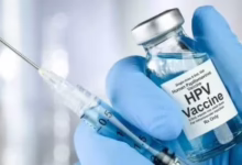 202602041217101710 169