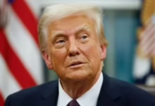 202603050814441444 37