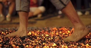 202604040841194119 581