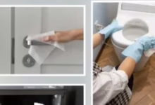 20260407031309139 20661