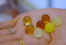 2026041511070979 581