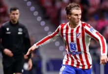 202604260420592059 379