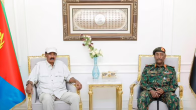 342342525 1140x593 1