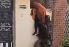 غضب واسع بعد ظهور نساء يقتحمن منازل مهجورة في الخرطوم والشارع يغلي 38 4235523525 1140x595 1