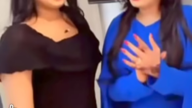 453fc4db e765 496a 91d9 80a1621093f2