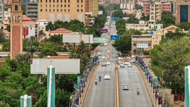 529658467 1202380921931211 4437153795003004161 n