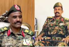 5343666.webp 1140x684 1