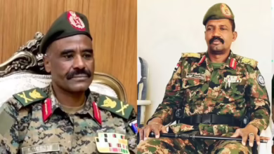 5343666.webp 1140x684 1