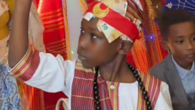 5aae3cab 0930 439b 9795 6930d450af06