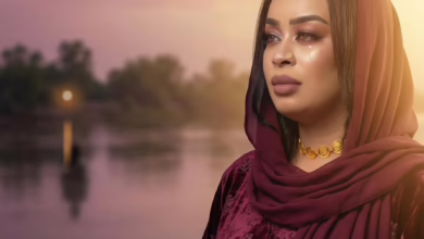 658860469 2346802645794979 8711294883636623376 n