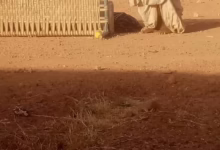 659791633 964148949632280 4338437828318680442 n