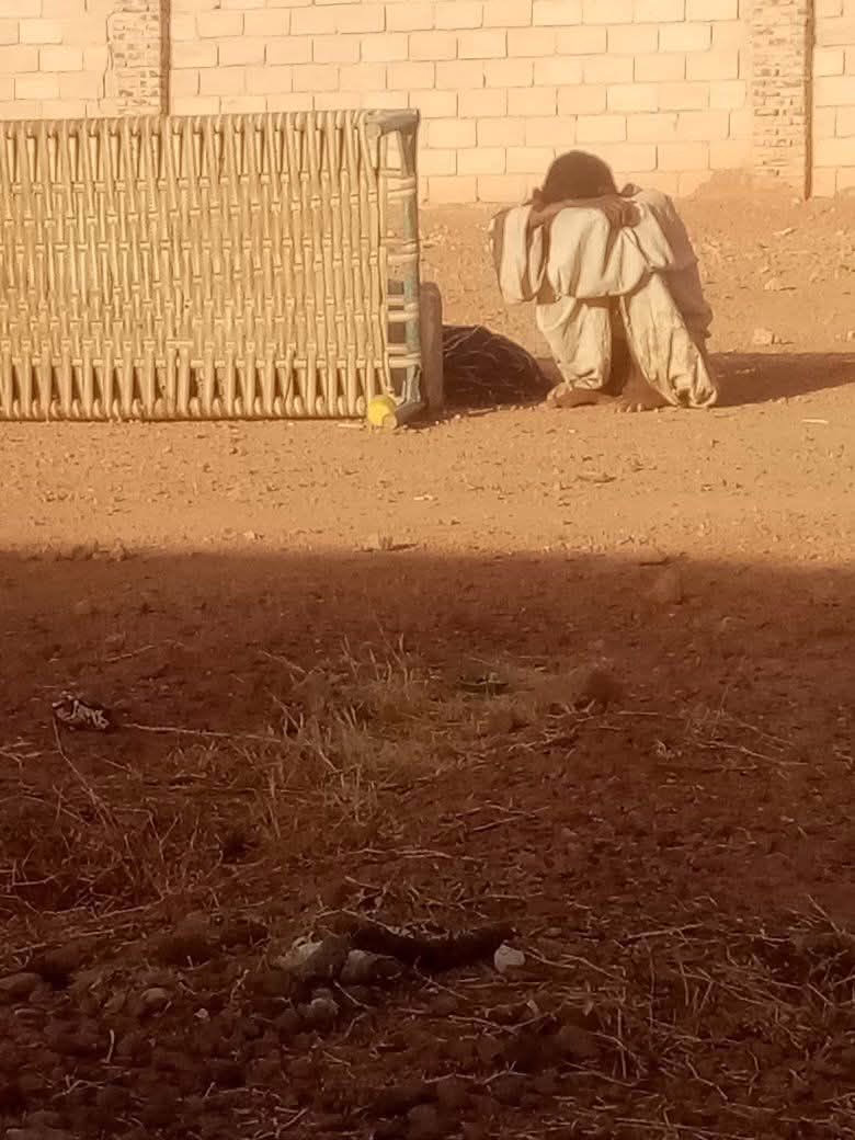 659791633 964148949632280 4338437828318680442 n