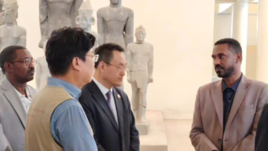 660041533 980489607666078 1242058004852447114 n