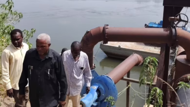 665192524 985124313869274 7081780421073478308 n 1140x1014 1