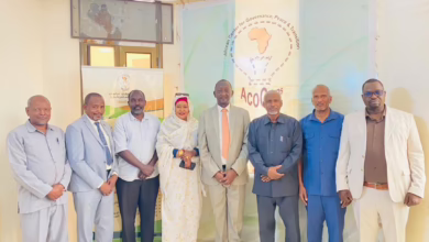 667357066 985105090537863 2570377619922436107 n 1