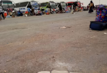 668146878 1448258283704247 1272035091213863400 n