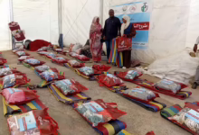 669606785 988202903561415 5434573978541190965 n