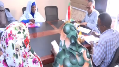 678981392 995942252787480 8462843681975708603 n 1140x855 1