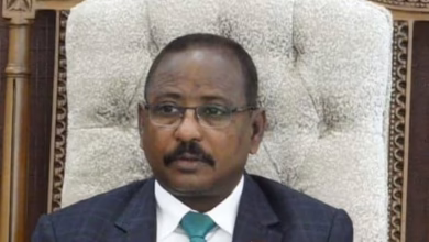 680474514 999827049065667 7580740719941654622 n