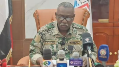 681229033 999130049135367 5063206437269825134 n